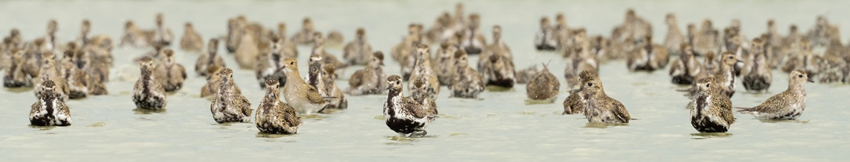 Featured image for “Wat een feest!”